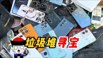 垃圾堆里有机窝，全是破烂手机，有多少可以修复？