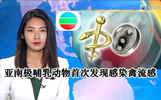 【TVB翡翠台】午间新闻:亚南极哺乳动物首次发现感染禽流感哔哩哔哩bilibili