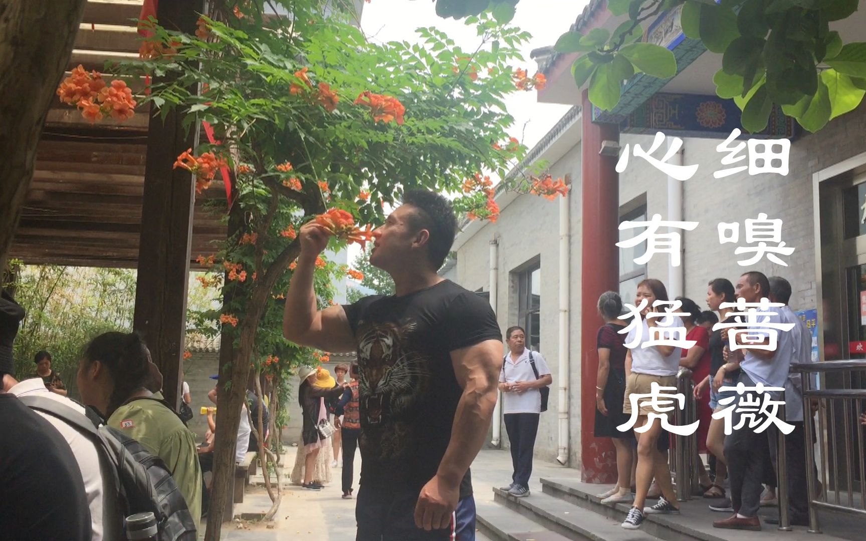 摇头岭车神的北京之旅与深蹲训练 2019.06.19哔哩哔哩bilibili