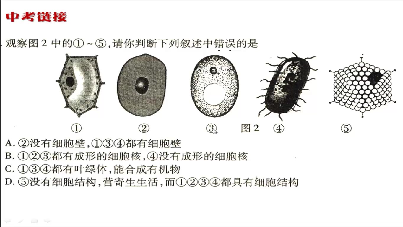 15.动物的主要类群(上)哔哩哔哩bilibili