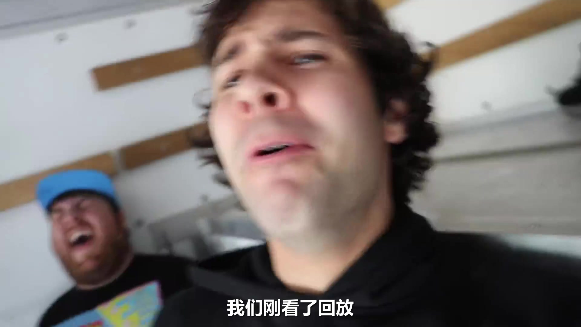 【432】(第集期)David Dobrik Vlog【中文字幕版】SURPRISING LIZA WITH A PUPPY!! (EMOTIONAL)哔哩哔哩bilibili