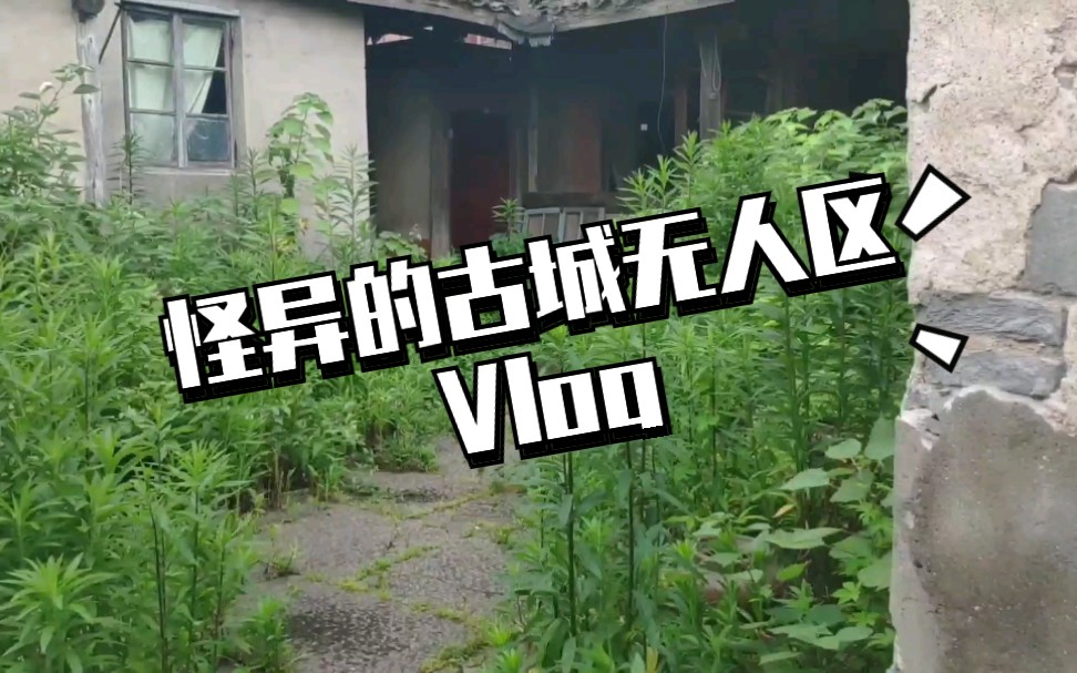 【旅行记录篇】石浦渔港古城之怪异的无人区Vlog/赵滢带你去旅行