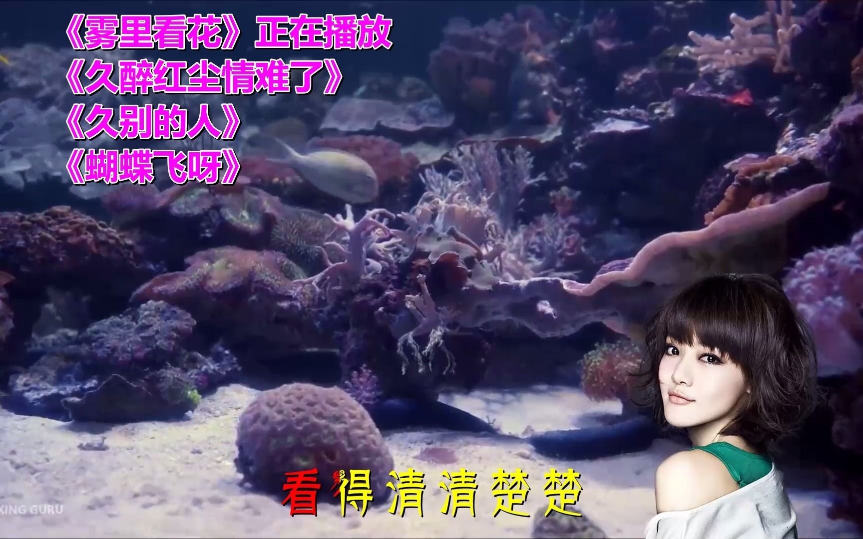 雾里看花制作mv小视频有哪些