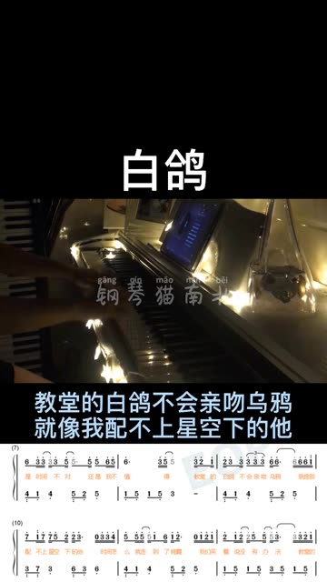 教堂的白鸽不会亲吻乌鸦