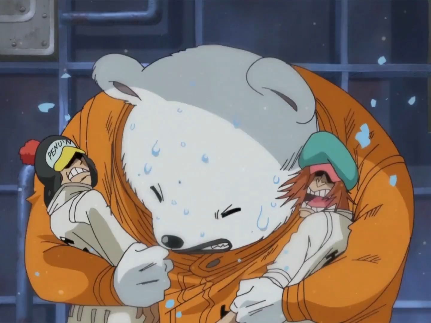 又可爱又能打的贝波熊