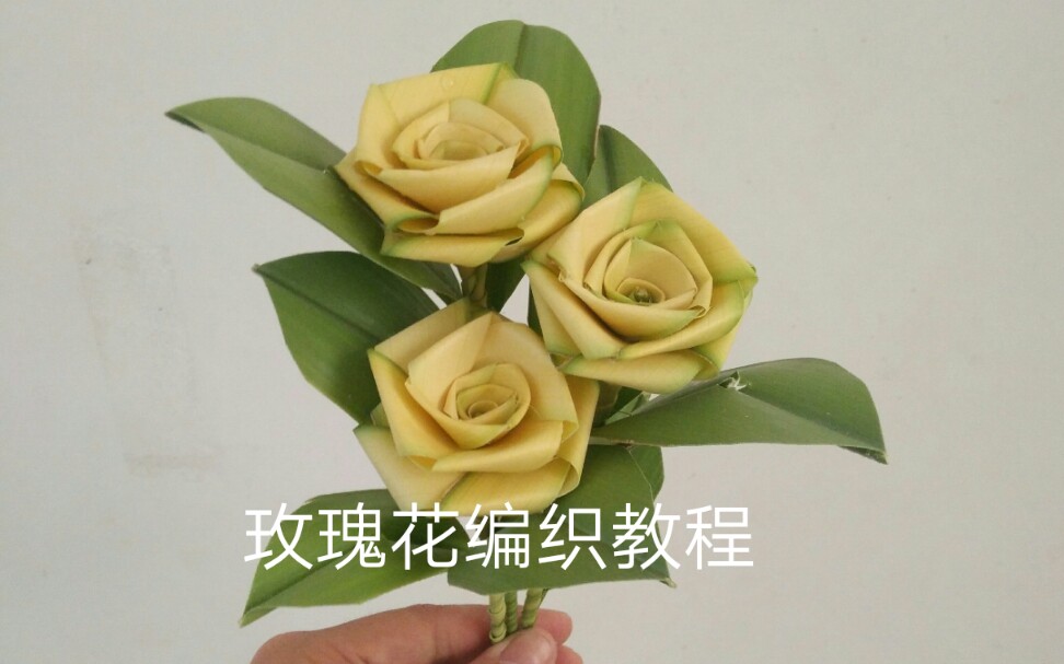 棕榈叶编织玫瑰花教程图片