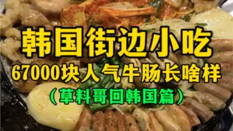韩国街边小吃67000元人气牛肠长啥样？
