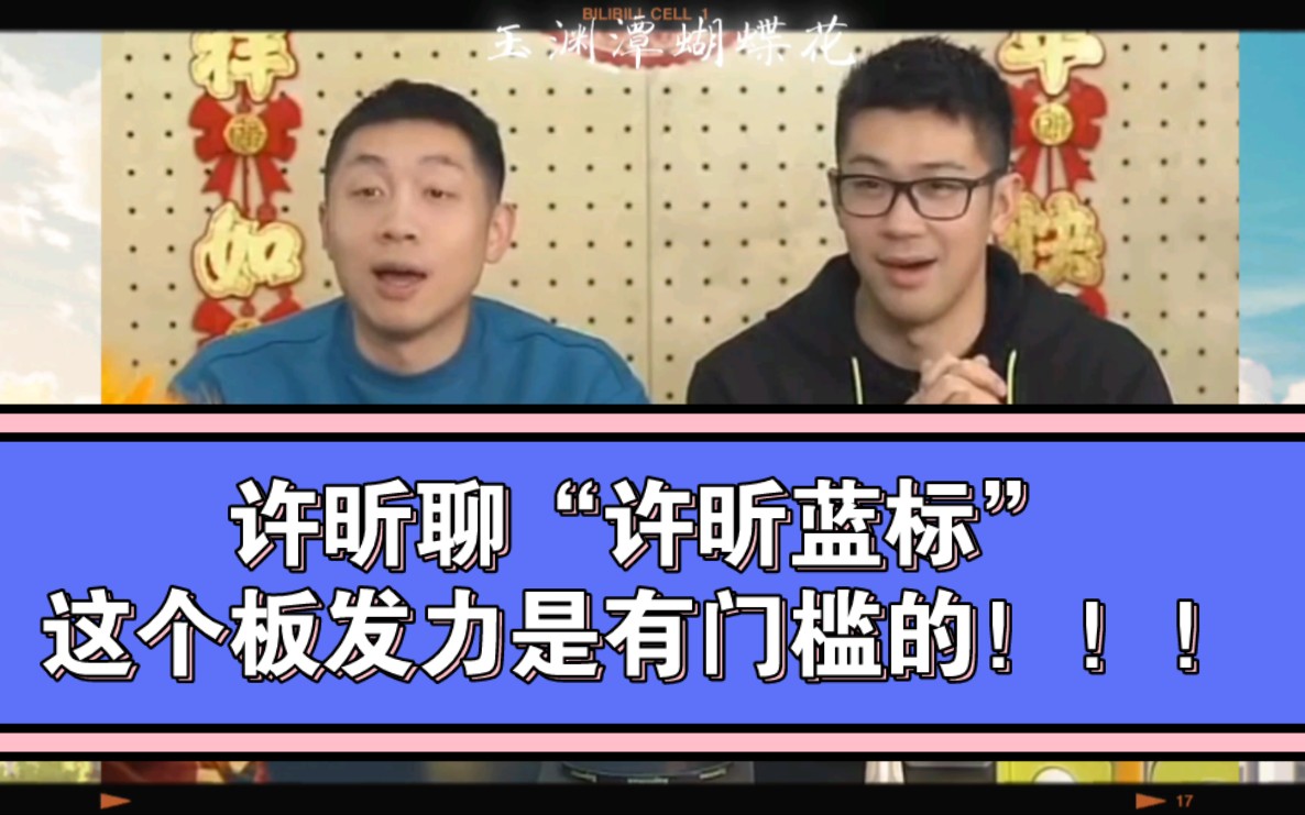 许昕聊"许昕蓝标"这个板发力是有门槛的!