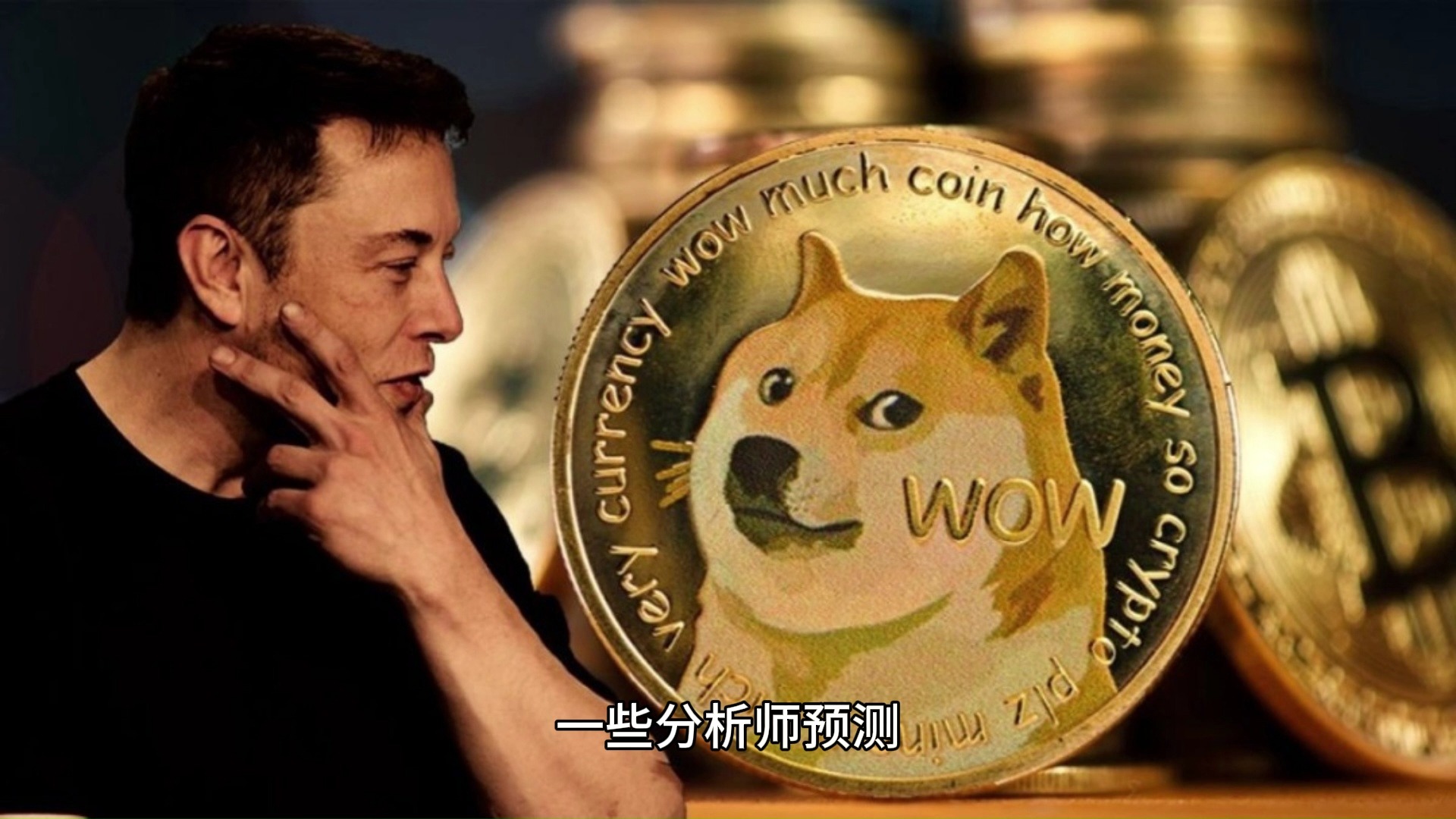狗狗币的讨论(狗狗币大涨的时间)