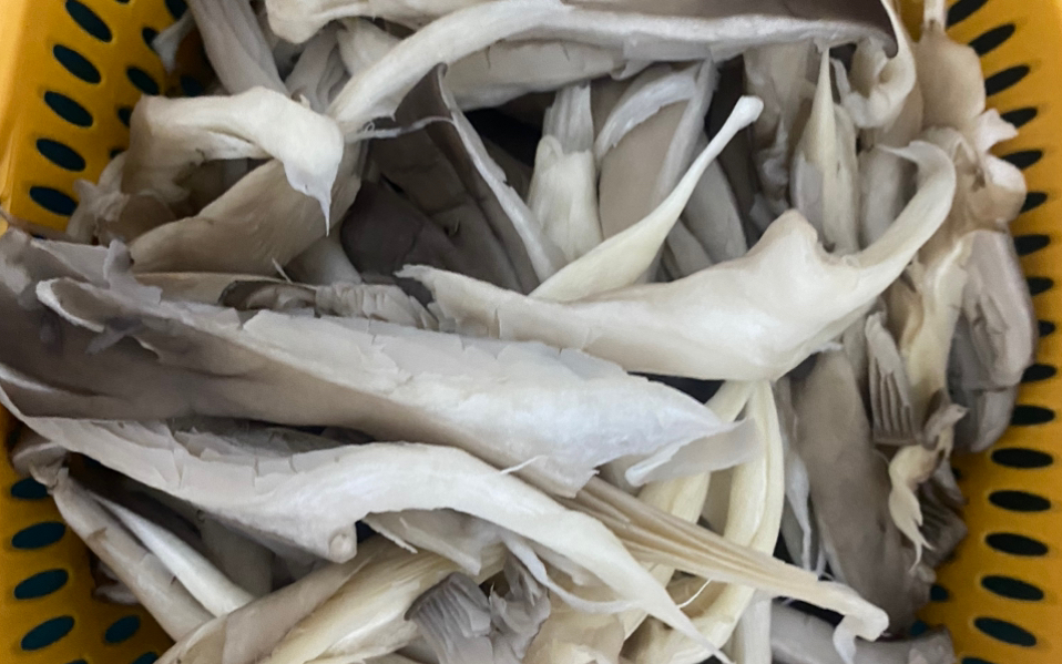 只需三分钟做出的家常饭,美味又健康!西红柿蘑菇