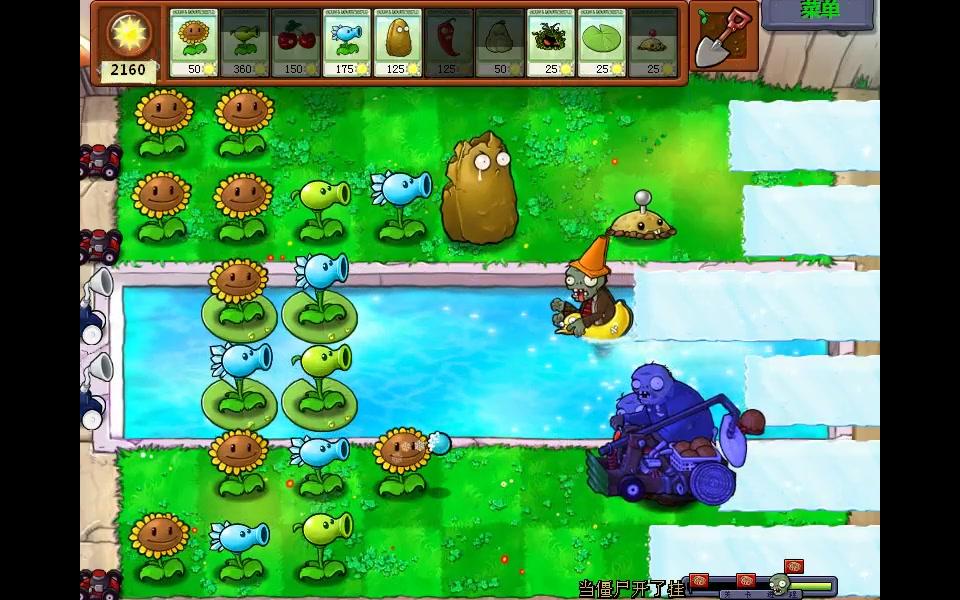 pvz玩家自制植物图片