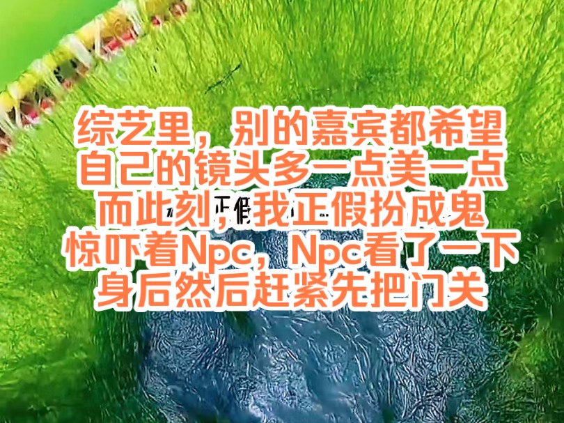 [图]《陌上摆烂 7》综艺里，别的嘉宾都希望自己的镜头多一点美一点，而此刻，我正假扮成鬼惊吓着Npc，Npc看了一下身后，然后赶紧先把门关住了