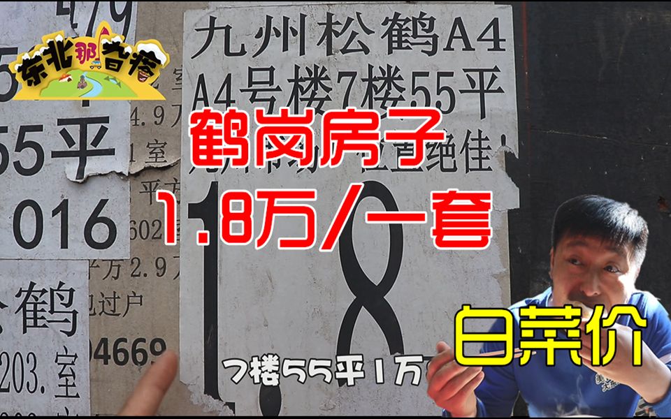 鹤岗美食真便宜,房子白菜价,1.8万就可以买一套房子,真便宜哔哩哔哩bilibili