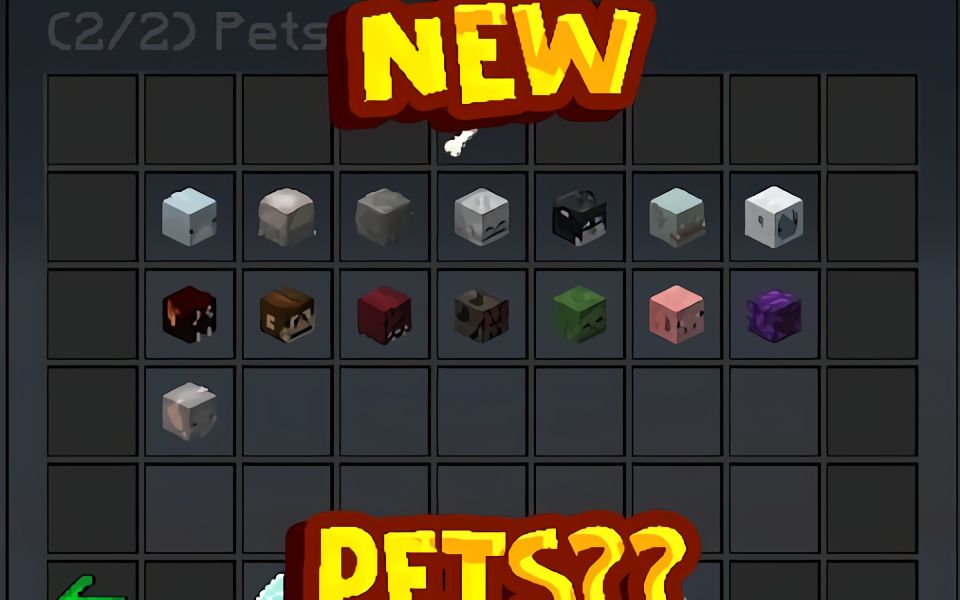 [hypixel skyblock]带你看最新宠物的爆料!