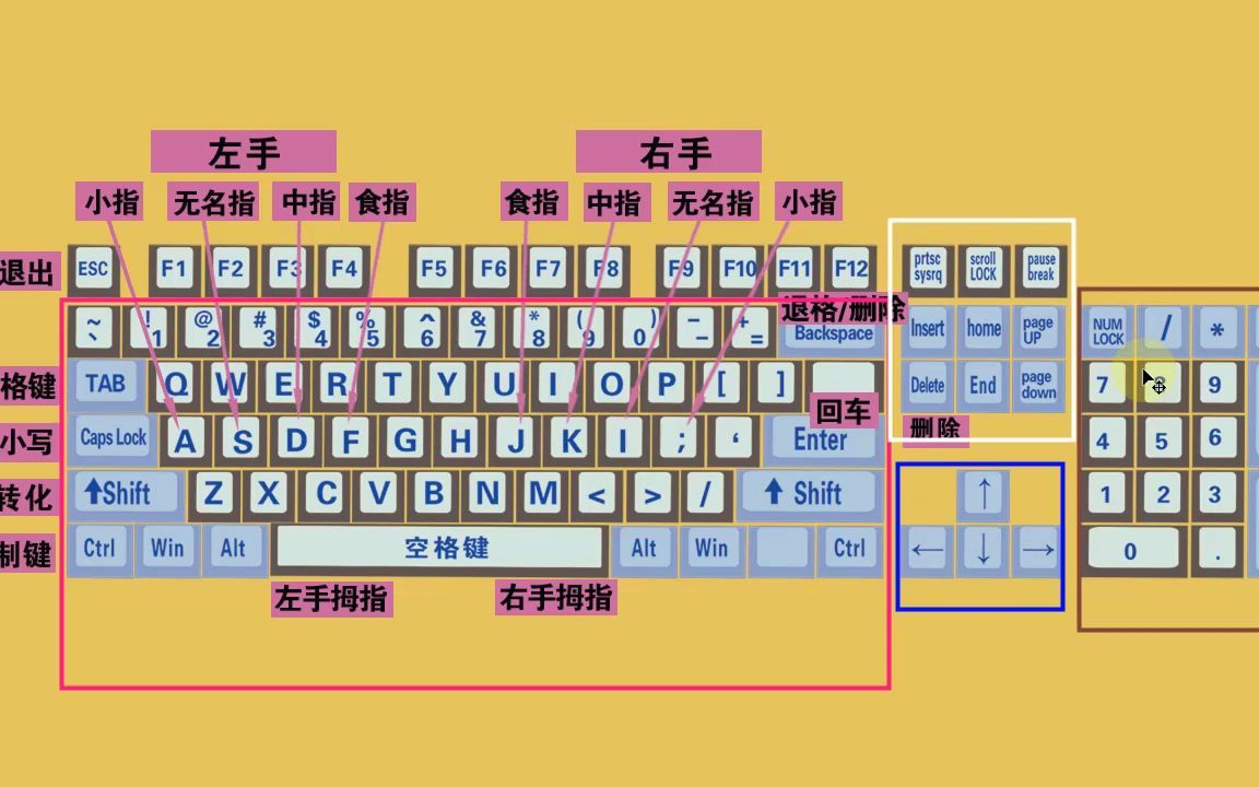 零基礎學電腦打字,快速學會鍵盤打字,適合初學者學習