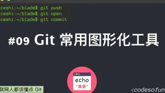 互联网人都该懂点 Git #09 Git 常用图形化工具
