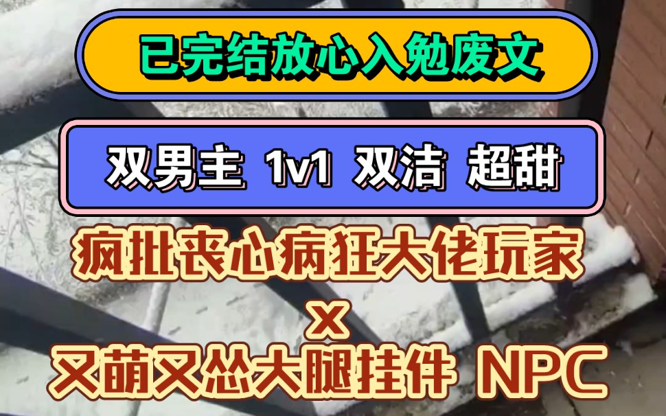 《大佬的挂件》双男主 丧尸末世 双洁 1V1 超甜 NPC | 疯批丧心病狂大佬玩家x又萌又怂大腿挂件 NPC哔哩哔哩bilibili