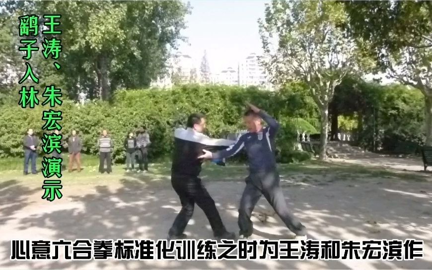 凌氏拳艺  心意六合拳  拳理要旨  鹞子入林哔哩哔哩bilibili