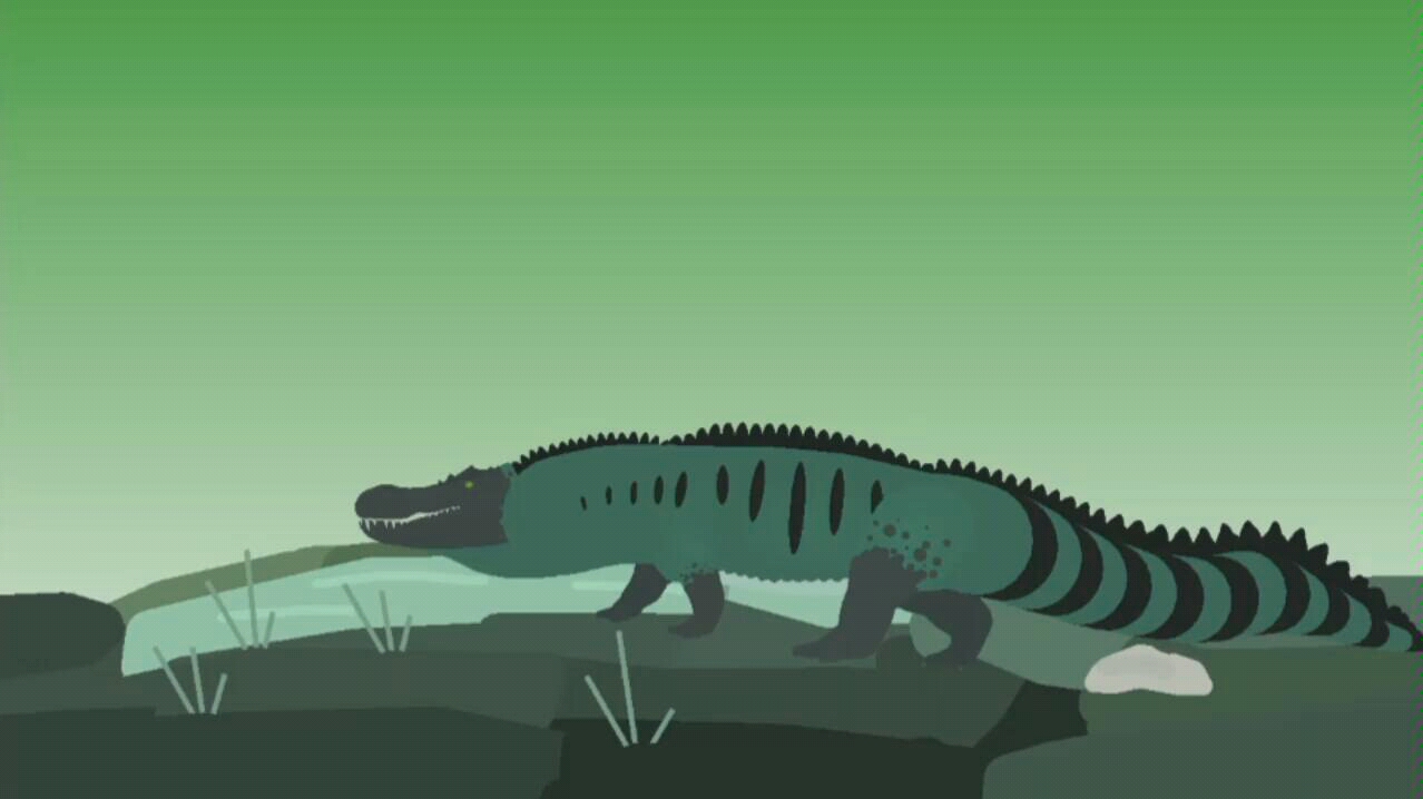 普鳄._哔哩哔哩 (゜-゜)つロ 干杯~-bilibili