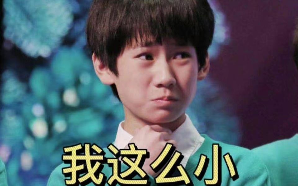 【张真源】小张张语出惊人合集,大姐快进来笑啊_哔哩哔哩_bilibili