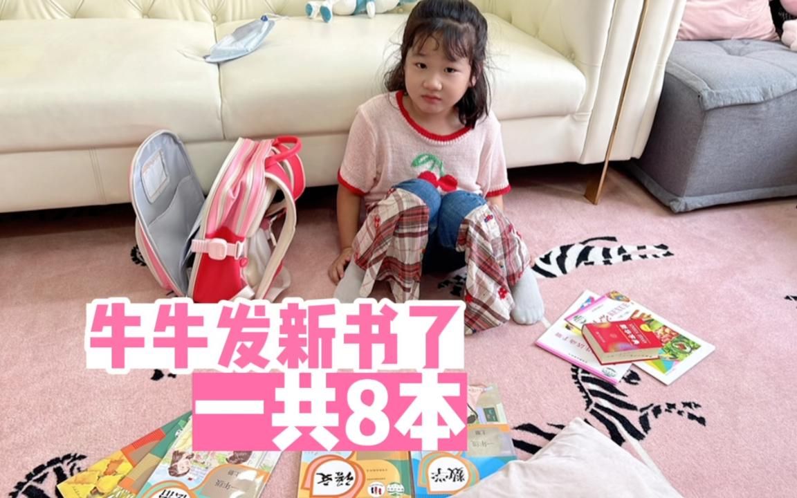 [图]牛牛上小学第一次发新书，一共是8本，还有一本新华字典