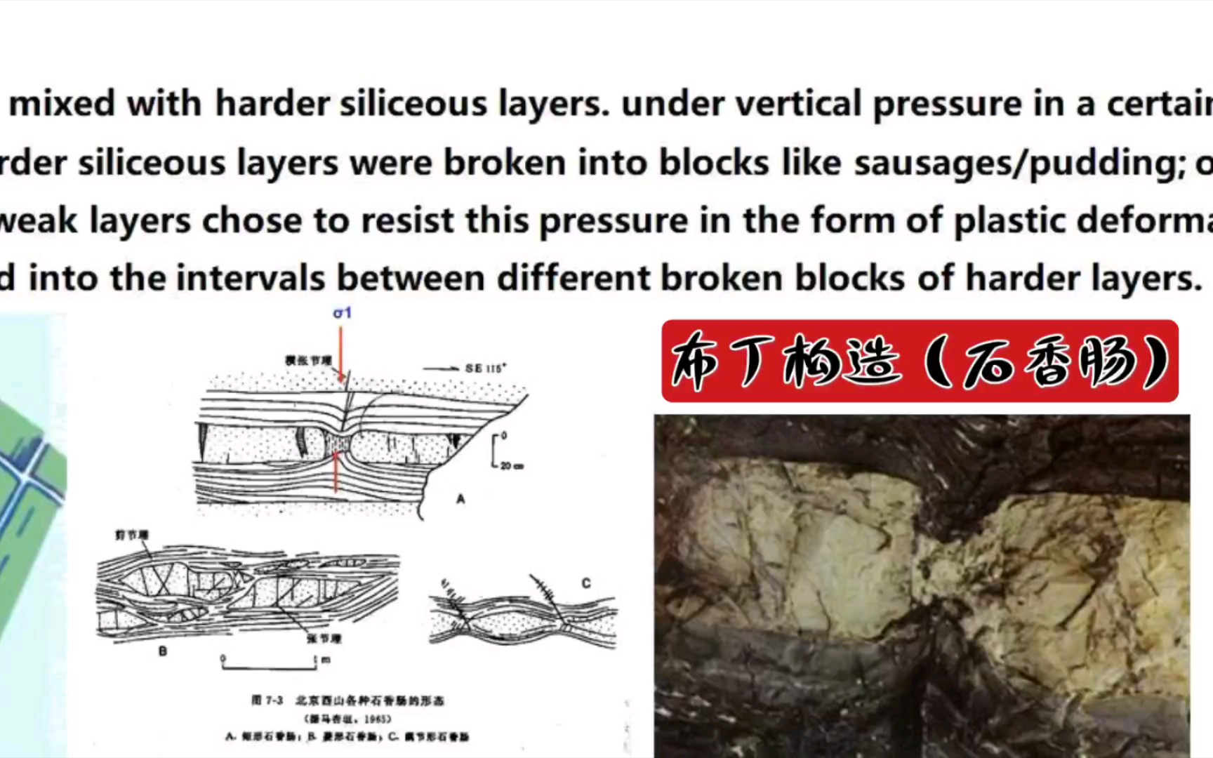 【地质学】布丁构造与大理岩,湖北黄冈哔哩哔哩bilibili