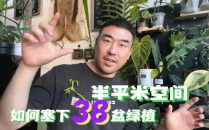 Скачать видео: 迷你阳台改造｜如何避免家养植物变成摆地摊？定制洞洞板和汽修小推车太搭了…！