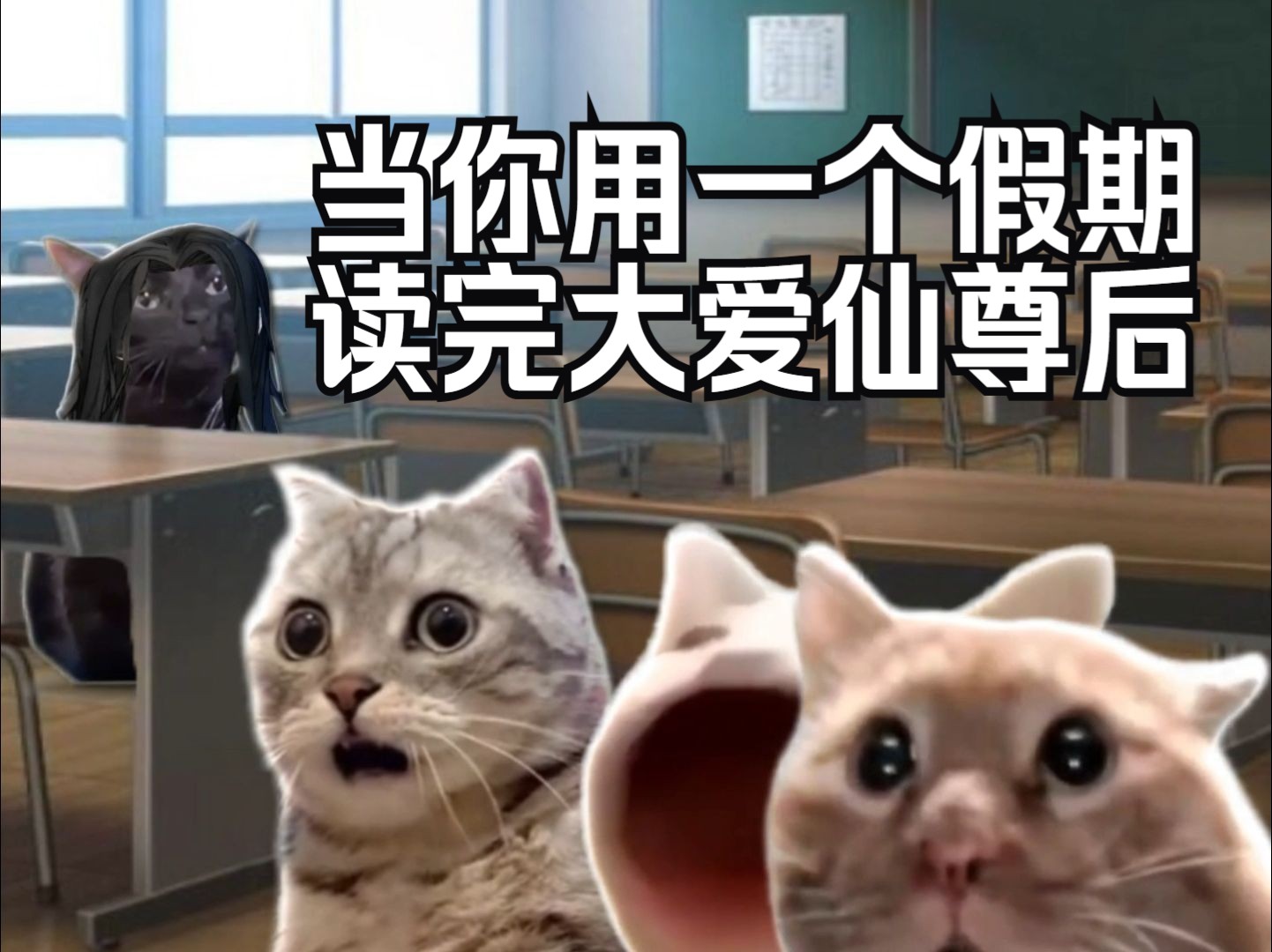 【猫meme】用一个假期读完大爱仙尊的你，开学后-龟迷因-龟迷因-哔哩哔哩视频