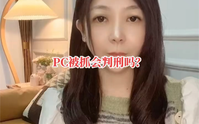 PC被抓会判刑吗?哔哩哔哩bilibili