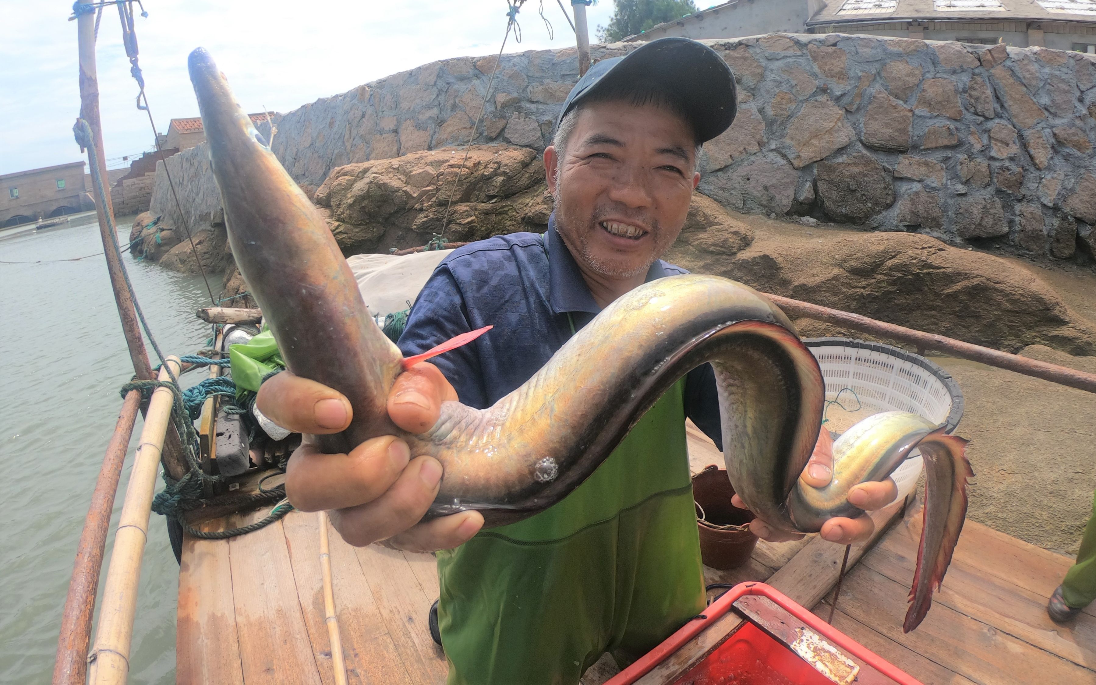 泰叔赶海抓到三斤大的猛货靠几十年的出海经验才抓在手里厉害