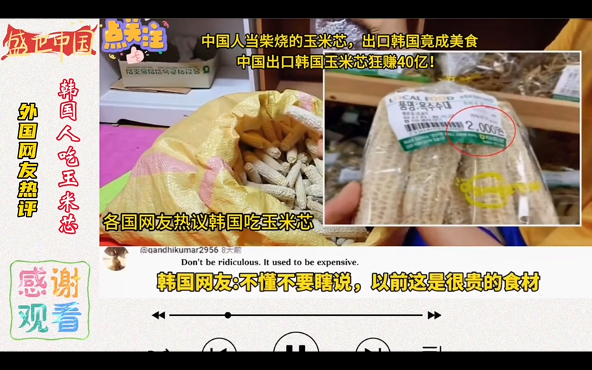 外网热议:韩国人吃玉米芯