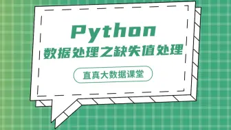 【君智课堂】常用语言 | Python：数据处理之缺失值处理（大数据实验课程系列）