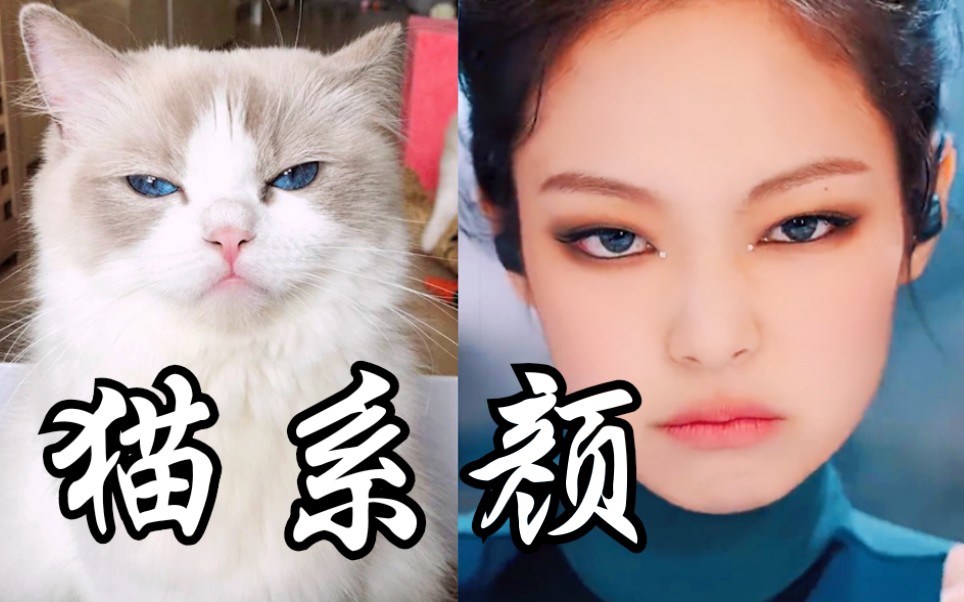 jennie这种猫系颜,你喜欢吗?能欣赏吗?