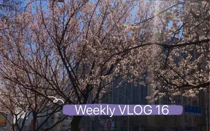 Скачать видео: Weekly VLOG | 16-寒假疗愈日常/网课/做烤鸡/看如懿传/晚间运动跳绳打卡【0413-0419】