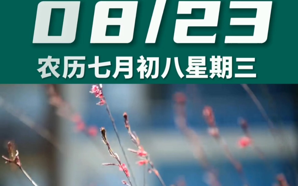 早上好啊今天是2023年8月23日星期三 处女座农历七月初八 癸丑日十二建除的执日 明堂黄道日,喜神在东南 财神在正南幸运数字:3、6哔哩哔哩bilibili