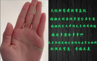 岛纹 搜索结果 哔哩哔哩 Bilibili