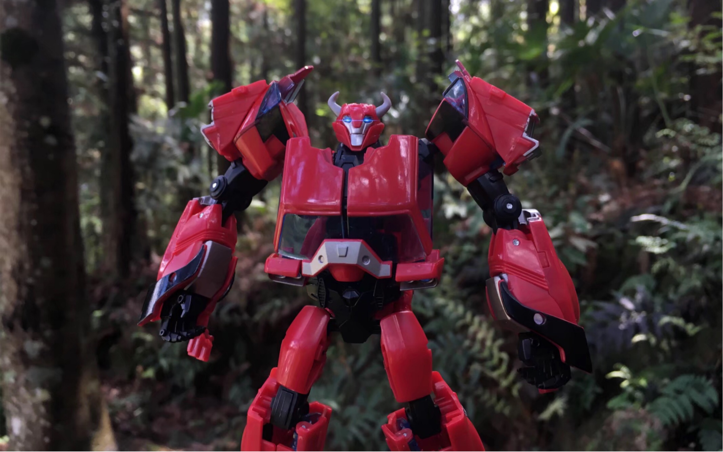 tfp 领袖之证 d级飞过山 美初版