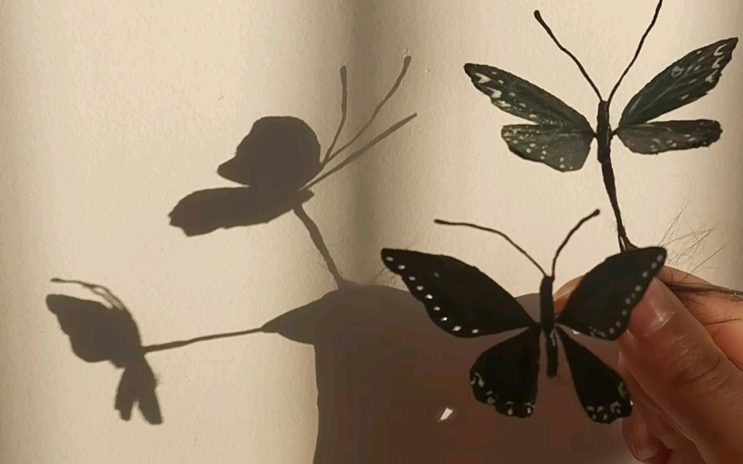 影子比绒花蝴蝶好看