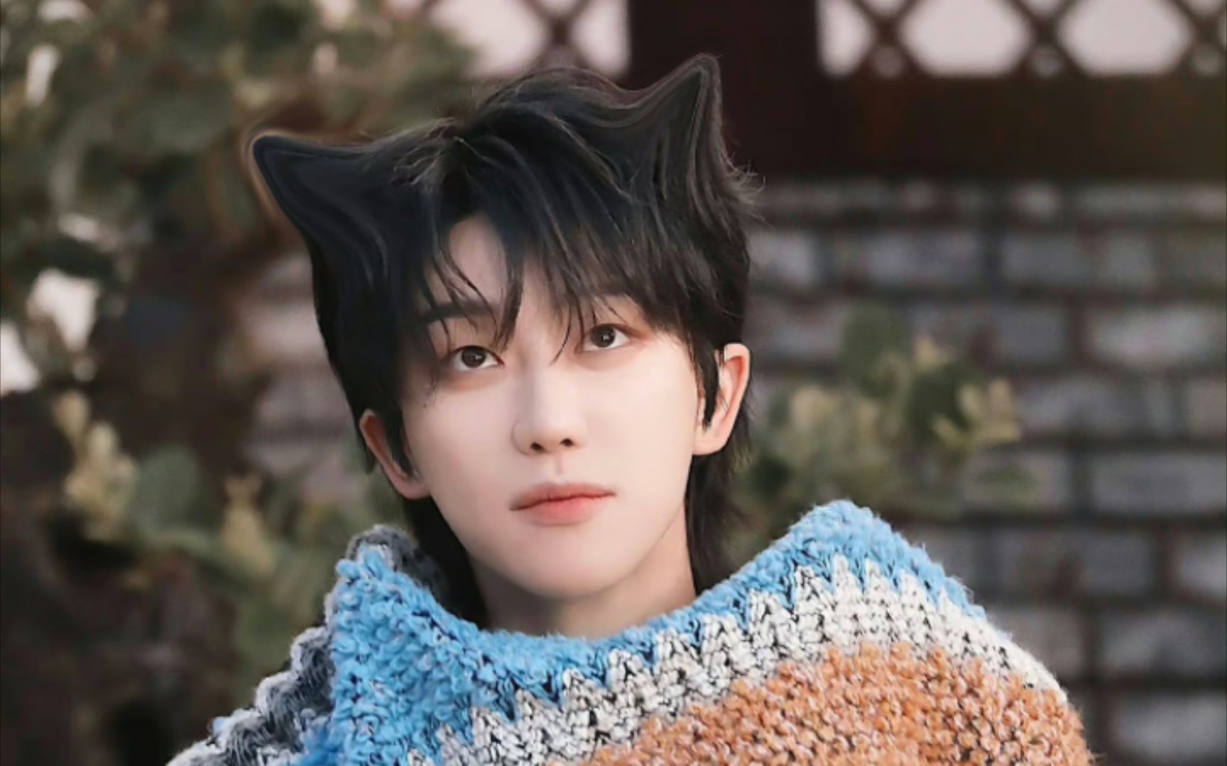 【徐明浩】看得出他是猫猫