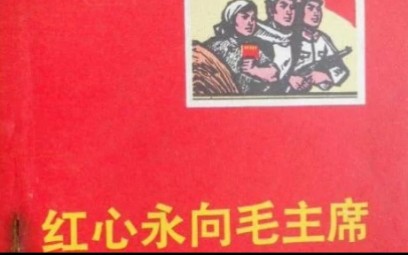 警惕修正右倾机会主义.哔哩哔哩bilibili