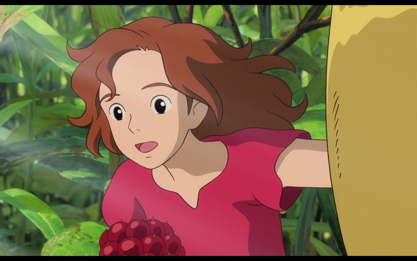 【口琴】arriettys song (借东西的小人阿莉埃蒂)