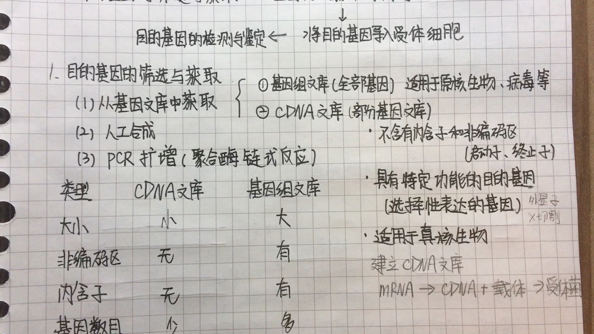 生物选必三基因工程目的基因的筛选与获取(PCR)哔哩哔哩bilibili