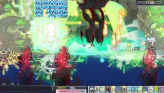 冒险岛新点装武器照相鸡拍照杆