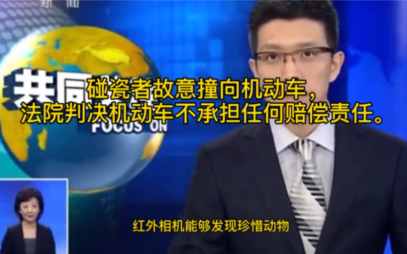 故意碰瓷赔还是不赔?法院判决告诉你,建议做成典型案例,全国推广!哔哩哔哩bilibili