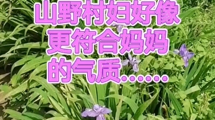 儿子,妈妈今天带你参观妈妈的餐厅……哔哩哔哩bilibili