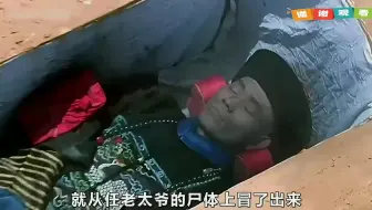 英叔懂的东西是真的多！怪不得是僵尸片的佼佼者！