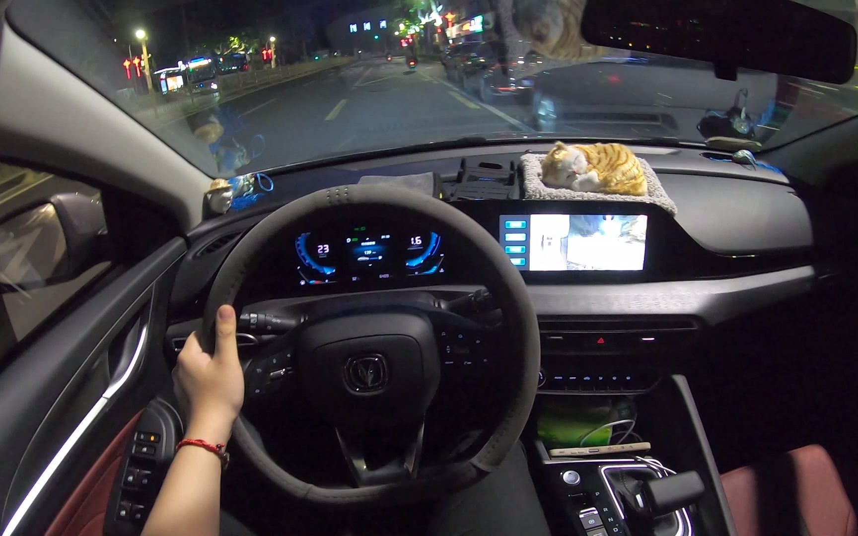 逸动plusgopro第一视角夜晚市区和高架沉浸式开车