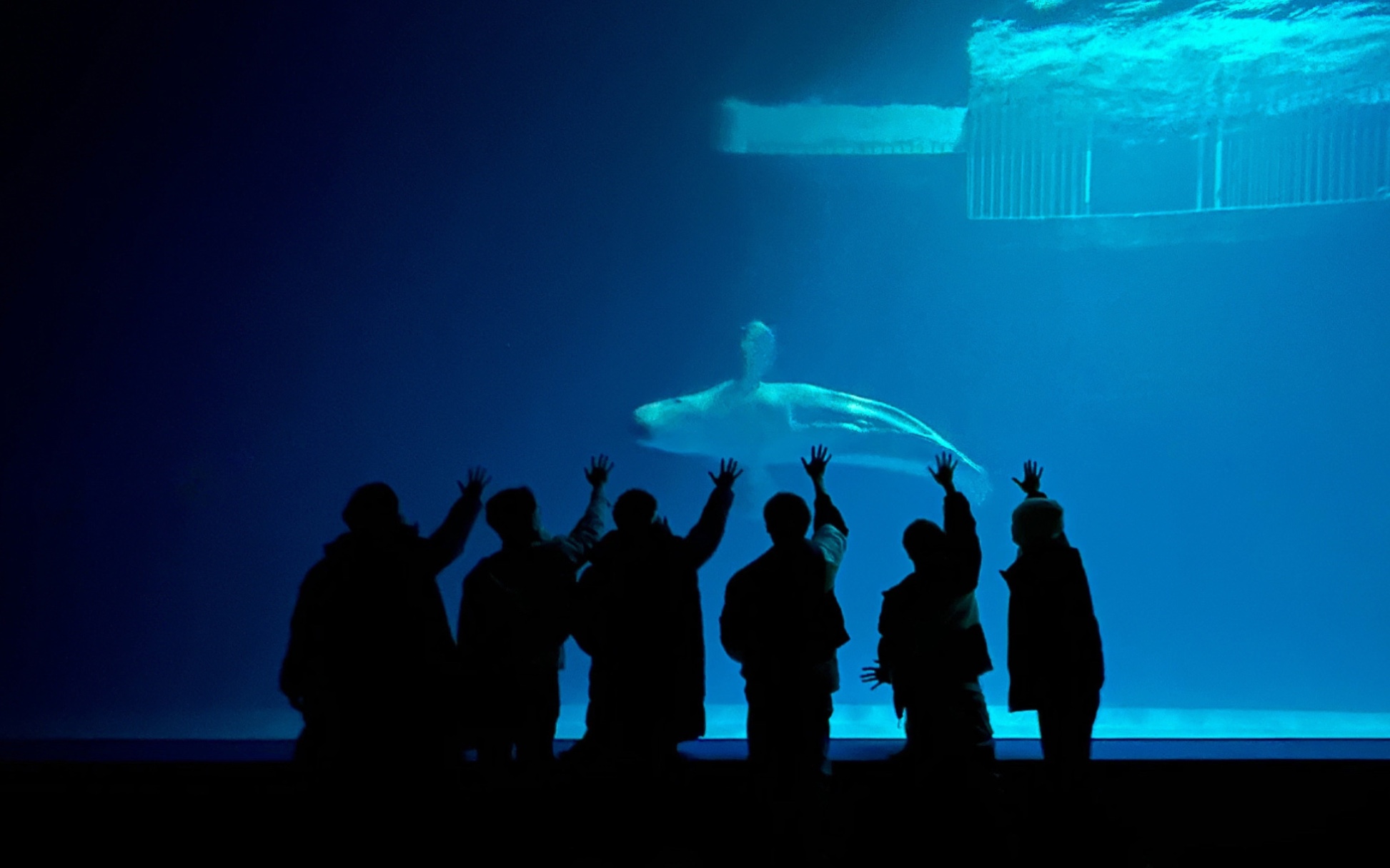 【0713再就业男团】20231002佛山音乐节 自录视频存档 【持更】