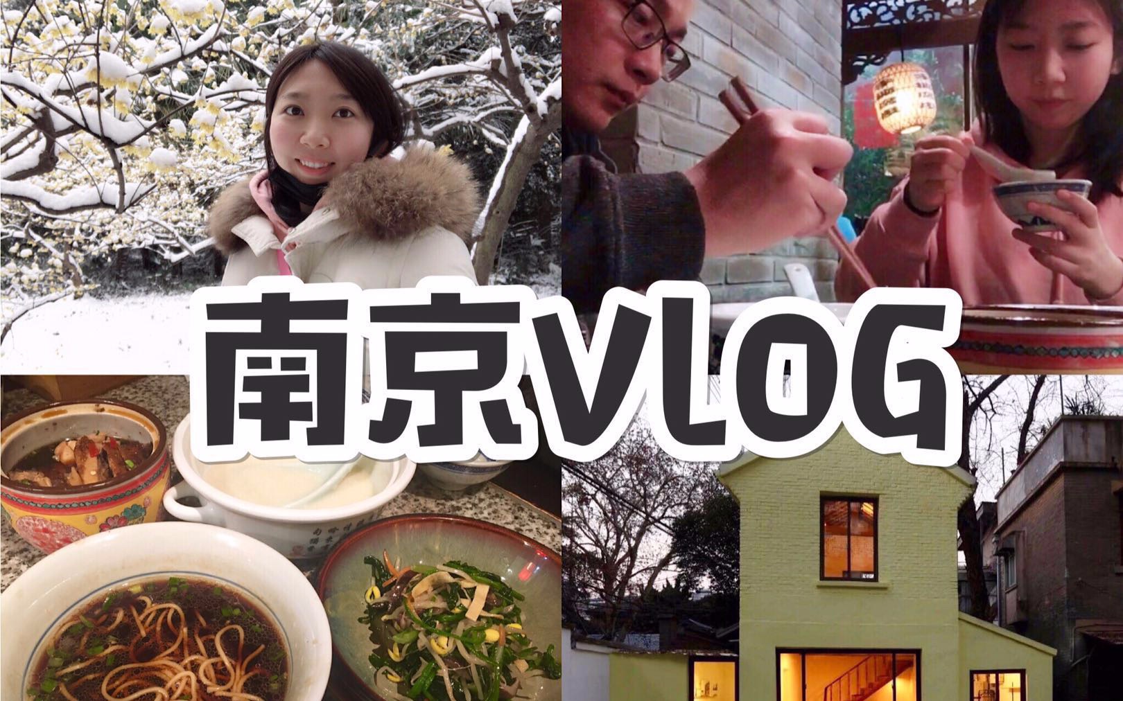 南京VLOG. 一夜大雪美成金陵| 民宿roomtour| 逛吃5天打卡网红美食| 南京旅行攻略. 明瓦廊|南京大牌档|中山陵|哔哩哔哩bilibili