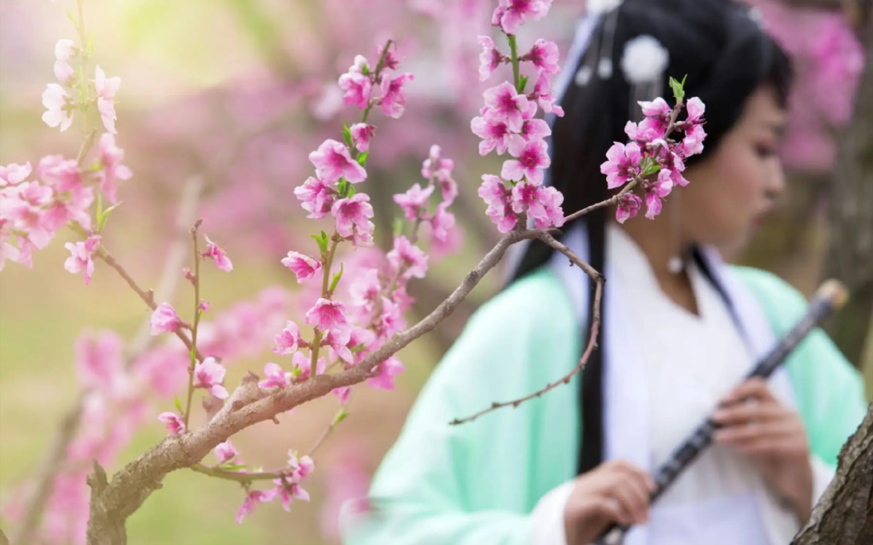 [图]《诗经》中一篇欢快的出嫁诗歌《国风·周南·桃夭》，通过桃花来比喻女子出嫁！据说成语“逃之夭夭”就是据此而来！